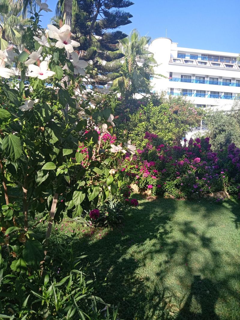 Drita Resort & Spa