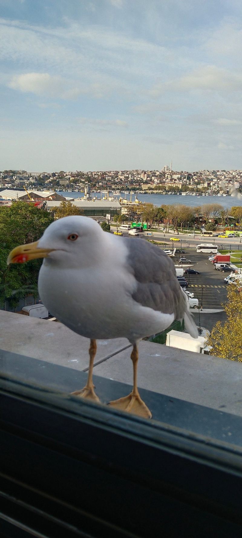 BVS Bosphorus Pera (ex. Nova Plaza Pera)