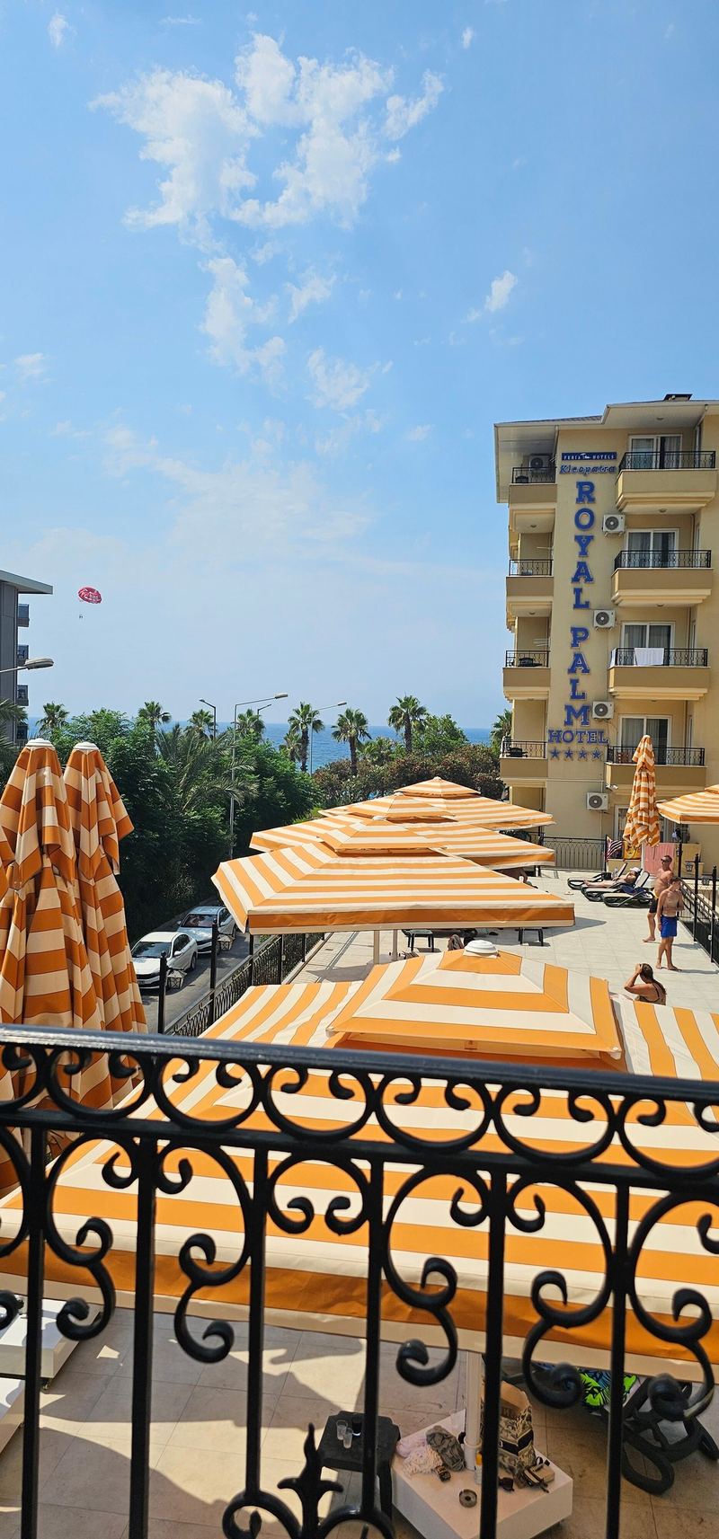 KLEOPATRA ROYAL PALM